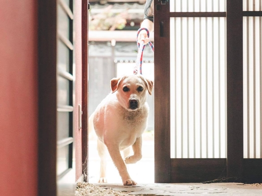 ペットと泊まれる【夕朝食付・ブリしゃぶ】IORI 0510 最大6名+愛犬2匹まで宿泊可能